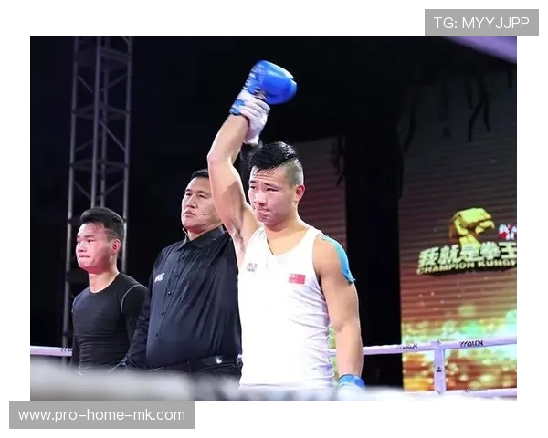 拳击手以防守反击收获漂亮 KO