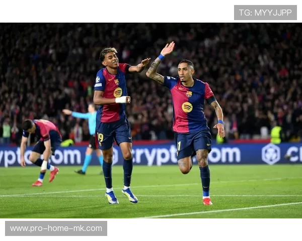 巴萨拉菲尼亚小角度贴地入网